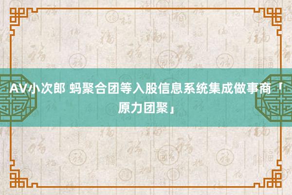 AV小次郎 蚂聚合团等入股信息系统集成做事商「原力团聚」