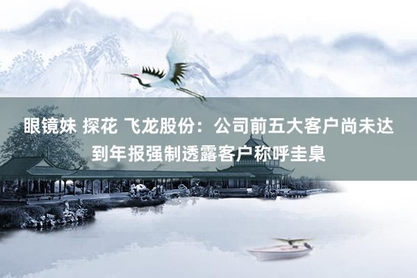 眼镜妹 探花 飞龙股份：公司前五大客户尚未达到年报强制透露客户称呼圭臬