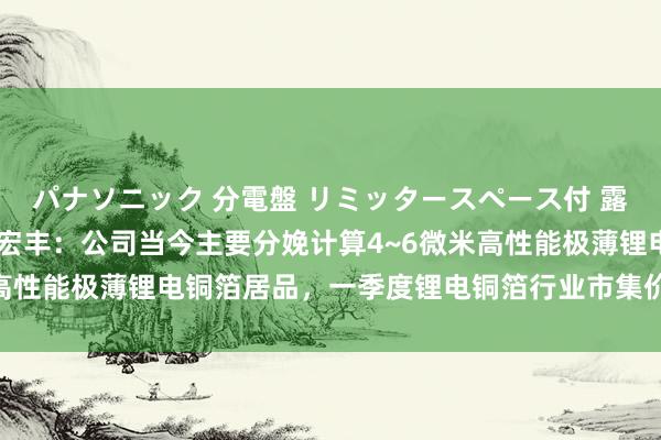 パナソニック 分電盤 リミッタースペース付 露出・半埋込両用形 温州宏丰：公司当今主要分娩计算4~6微米高性能极薄锂电铜箔居品，一季度锂电铜箔行业市集价钱同比上升