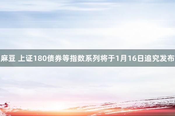 麻豆 上证180债券等指数系列将于1月16日追究发布