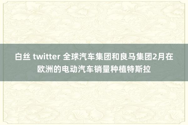 白丝 twitter 全球汽车集团和良马集团2月在欧洲的电动汽车销量种植特斯拉
