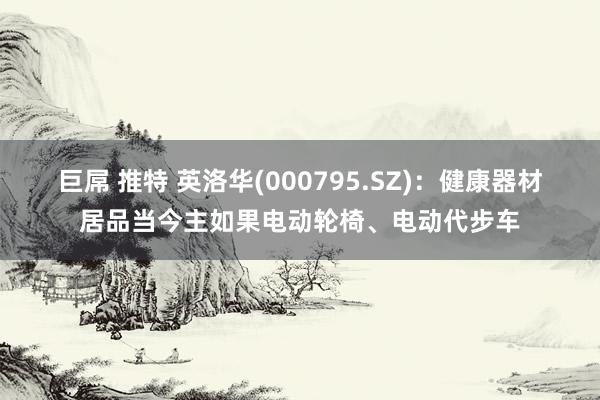 巨屌 推特 英洛华(000795.SZ)：健康器材居品当今主如果电动轮椅、电动代步车