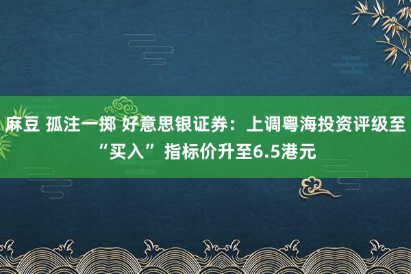 麻豆 孤注一掷 好意思银证券：上调粤海投资评级至“买入” 指标价升至6.5港元