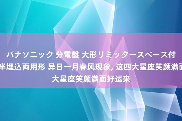 パナソニック 分電盤 大形リミッタースペース付 露出・半埋込両用形 异日一月春风现象， 这四大星座笑颜满面好运来