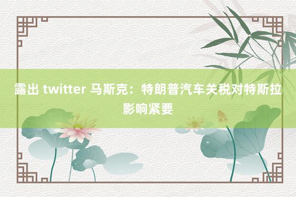 露出 twitter 马斯克：特朗普汽车关税对特斯拉影响紧要