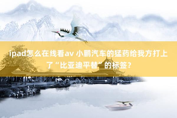 ipad怎么在线看av 小鹏汽车的猛药给我方打上了“比亚迪平替”的标签？