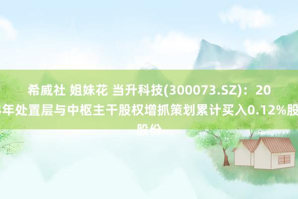 希威社 姐妹花 当升科技(300073.SZ)：2024年处置层与中枢主干股权增抓策划累计买入0.12%股份