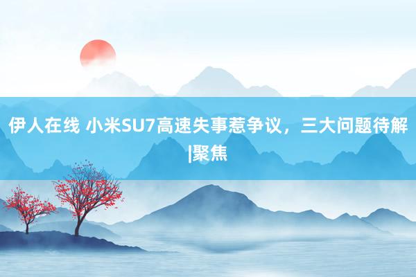 伊人在线 小米SU7高速失事惹争议，三大问题待解|聚焦