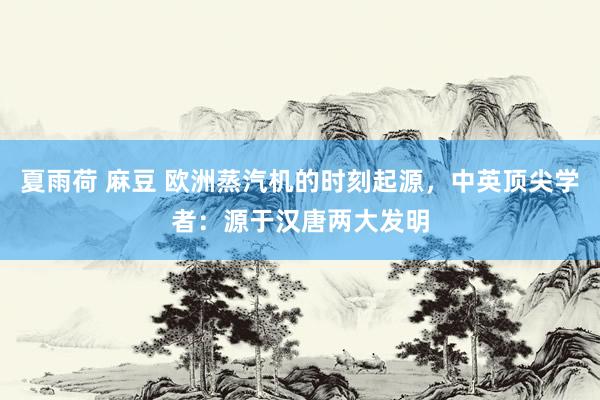 夏雨荷 麻豆 欧洲蒸汽机的时刻起源，中英顶尖学者：源于汉唐两大发明