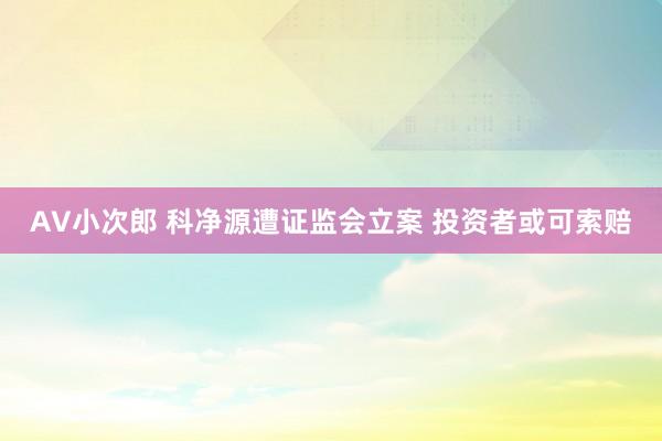 AV小次郎 科净源遭证监会立案 投资者或可索赔