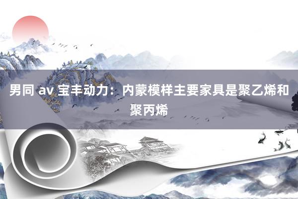 男同 av 宝丰动力：内蒙模样主要家具是聚乙烯和聚丙烯