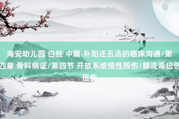 海安幼儿园 白丝 中篇.补阳还五汤的临床沟通/第四章 骨科病证/第四节 开放系统慢性毁伤/膝流毒扭伤