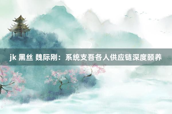 jk 黑丝 魏际刚：系统支吾各人供应链深度颐养