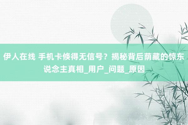 伊人在线 手机卡倏得无信号？揭秘背后荫藏的惊东说念主真相_用户_问题_原因