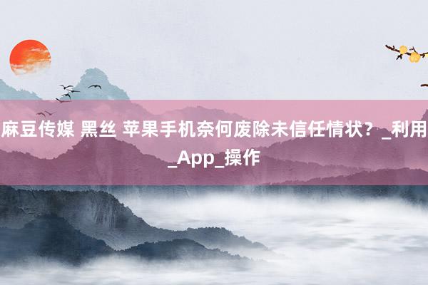 麻豆传媒 黑丝 苹果手机奈何废除未信任情状？_利用_App_操作