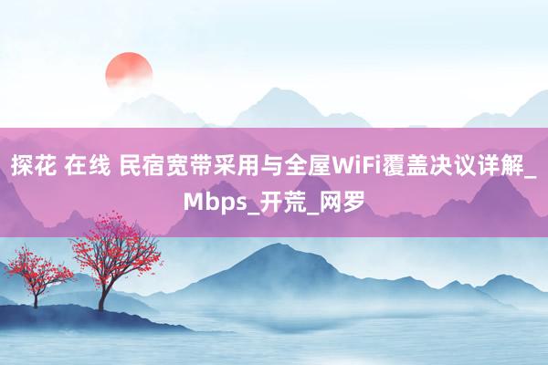 探花 在线 民宿宽带采用与全屋WiFi覆盖决议详解_Mbps_开荒_网罗