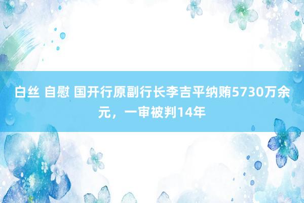 白丝 自慰 国开行原副行长李吉平纳贿5730万余元，一审被判14年