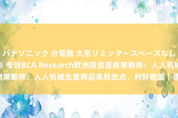 パナソニック 分電盤 大形リミッタースペースなし 露出・半埋込両用形 专访BCA Research欧洲投资首席策略师：人人机械生意将迎来转念点，利好德国｜德国经济见闻录